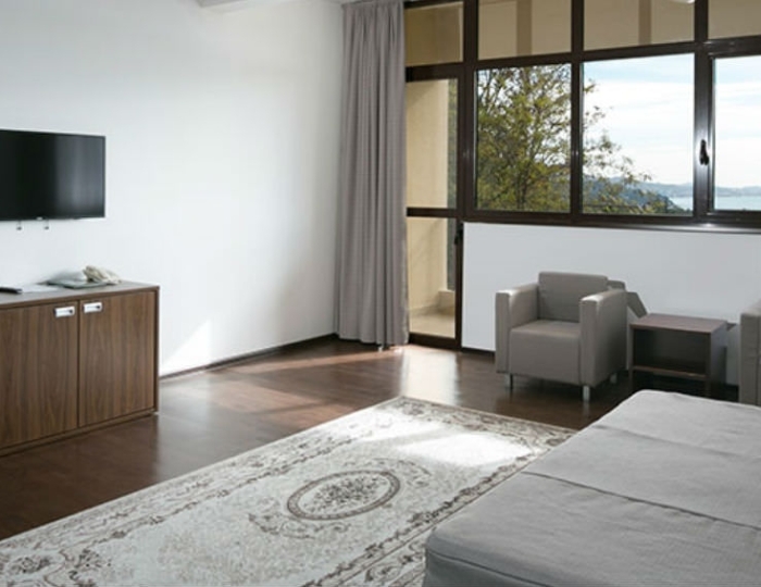 Джуниор сюит (корп.3) - Санаторий «Зеленая роща» Сочи